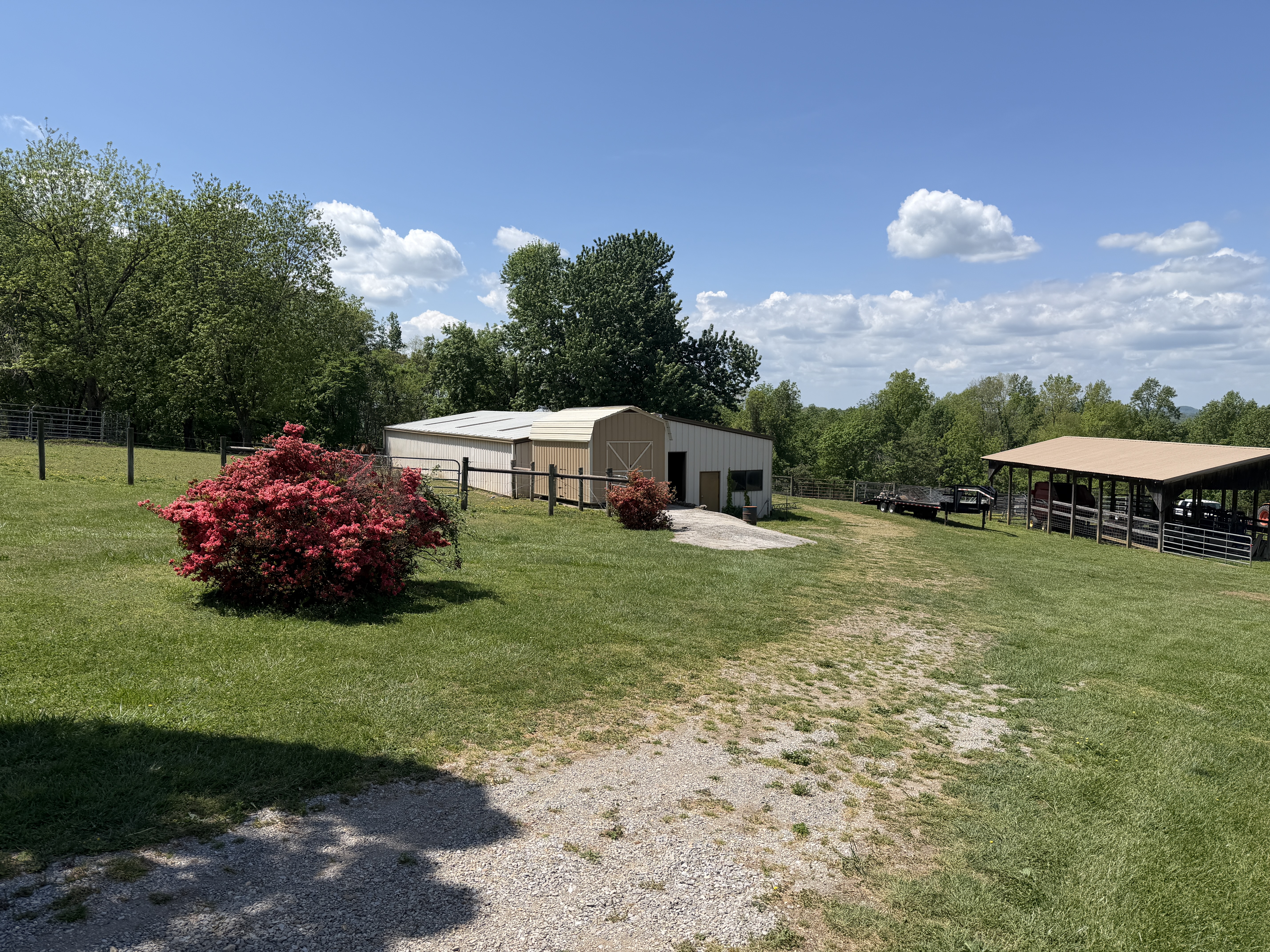 Farm driveway and buildings with red flowering shrub