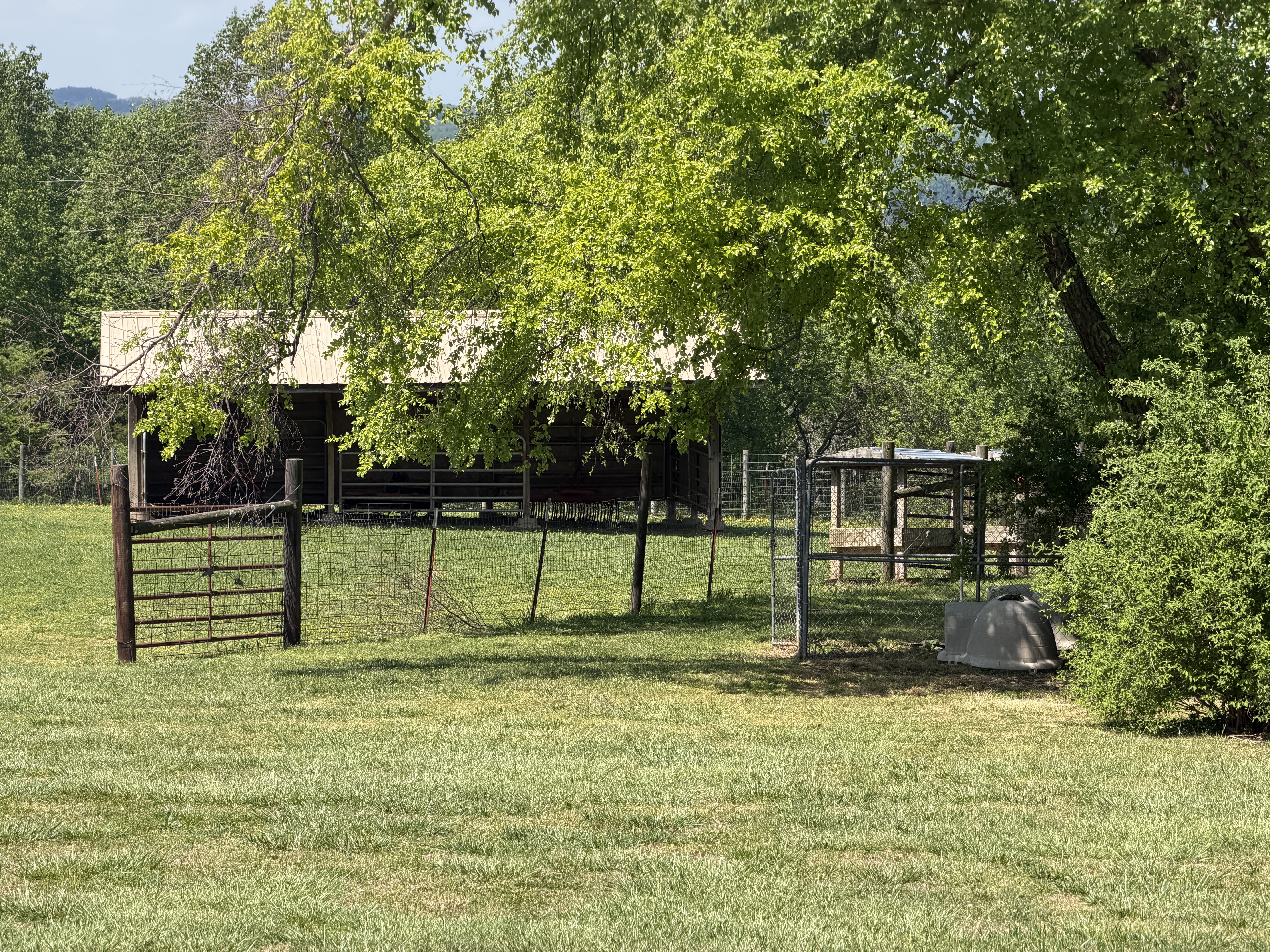 Cattle facility gates and fencing
