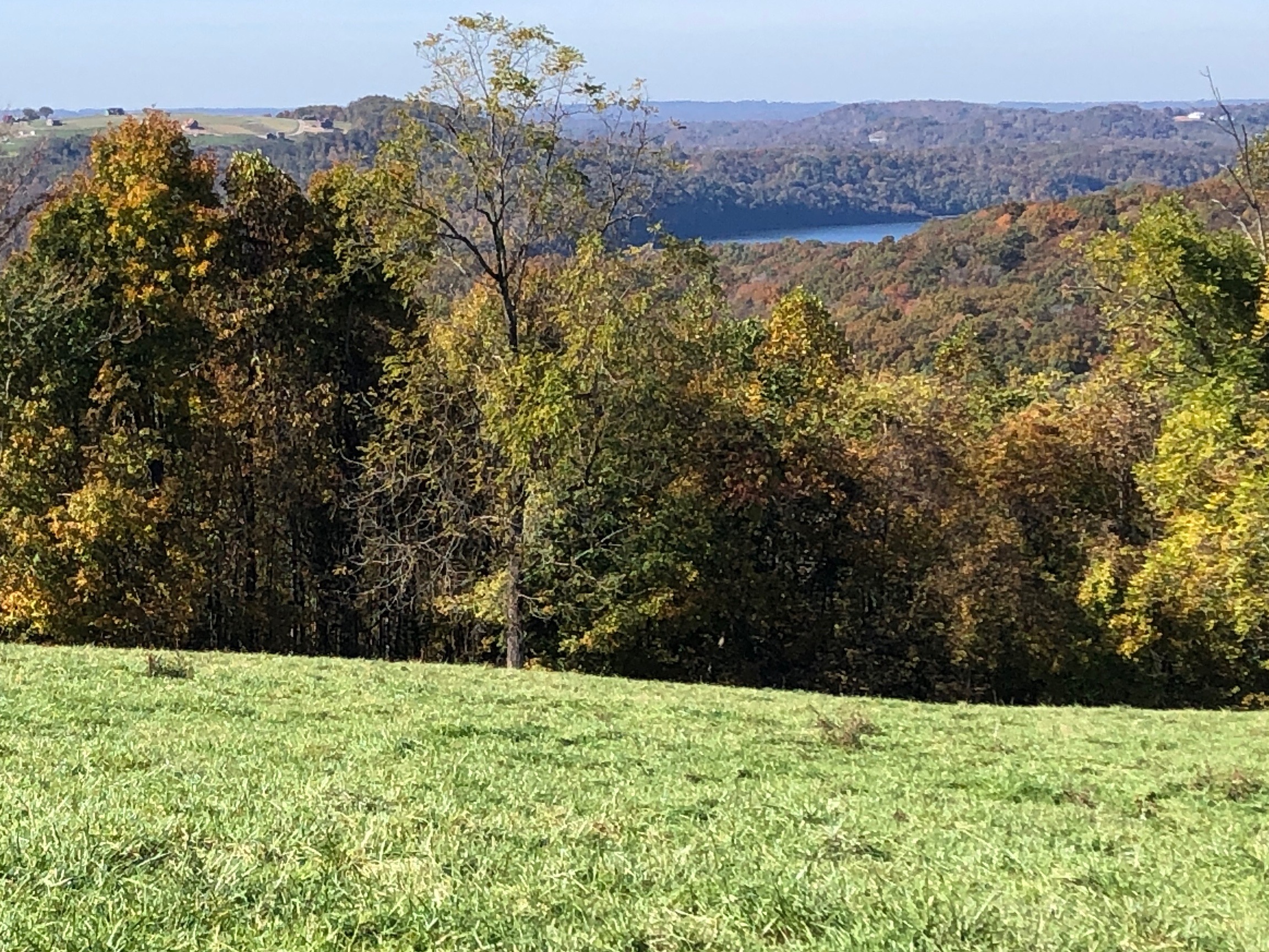 Summer green field with lake visible in distance