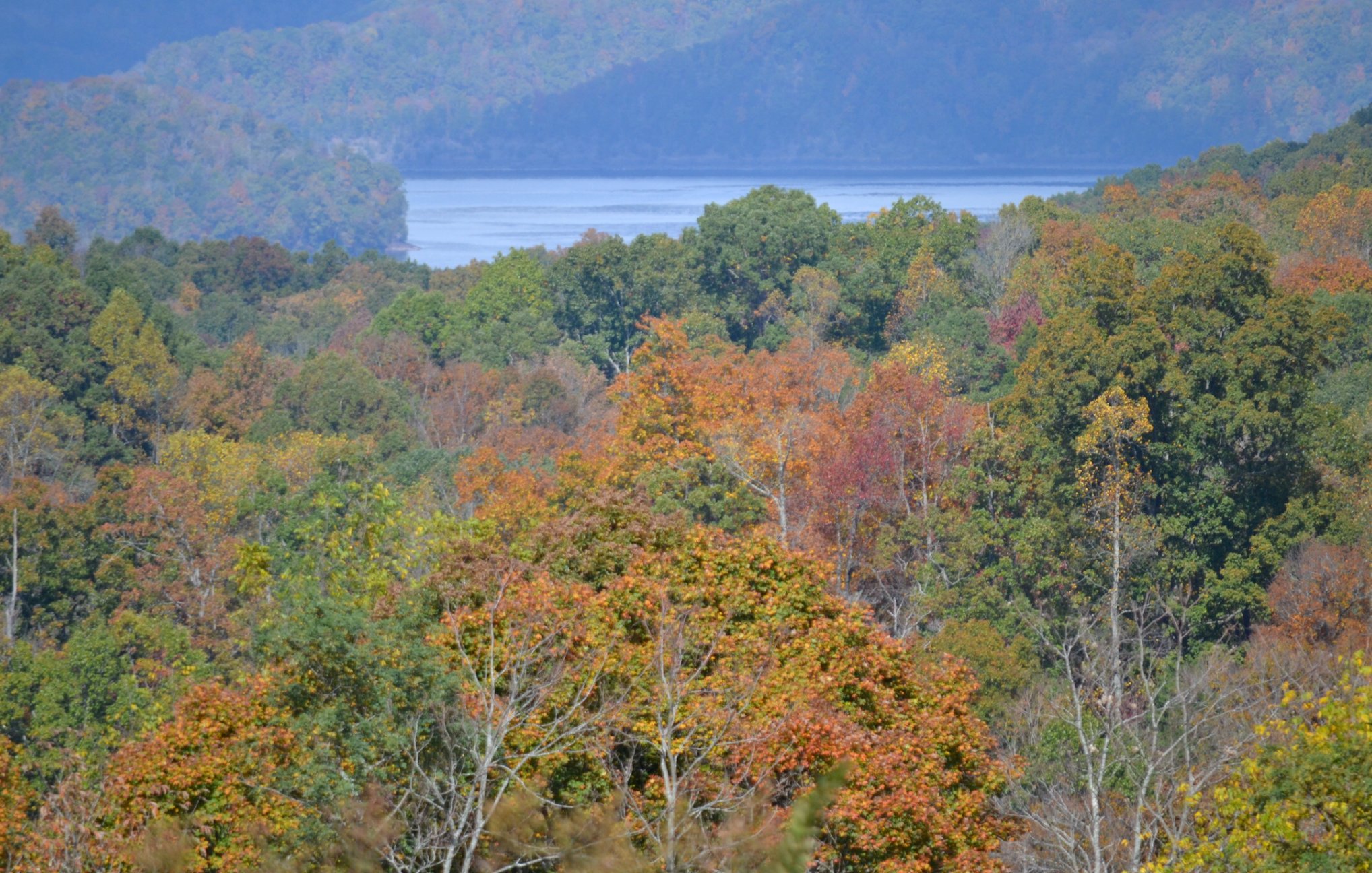 Dale Hollow Lake visible through fall foliage from hilltop