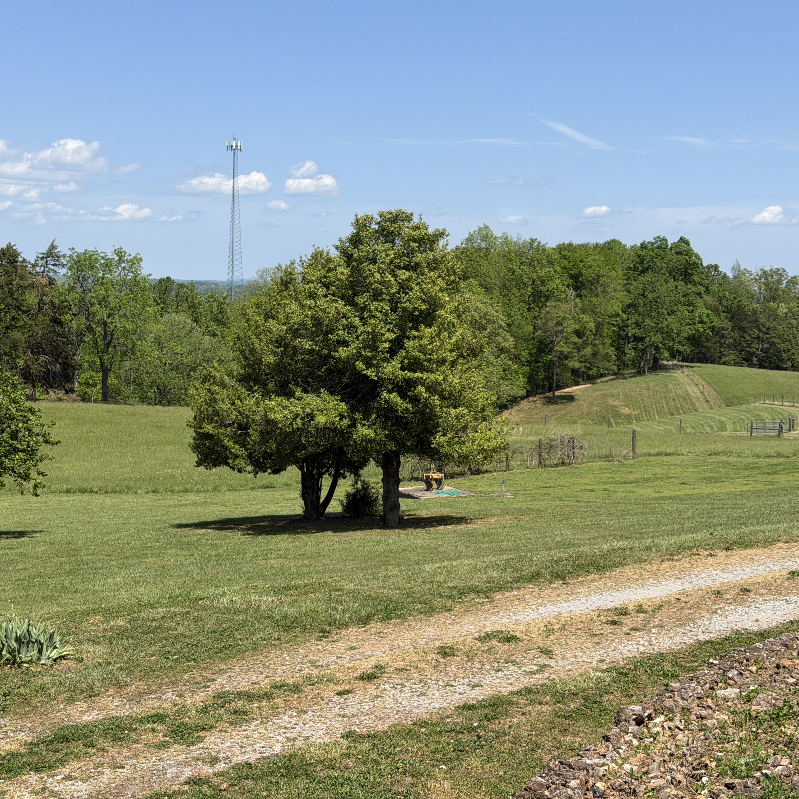 Dirt road winding through open pasture
