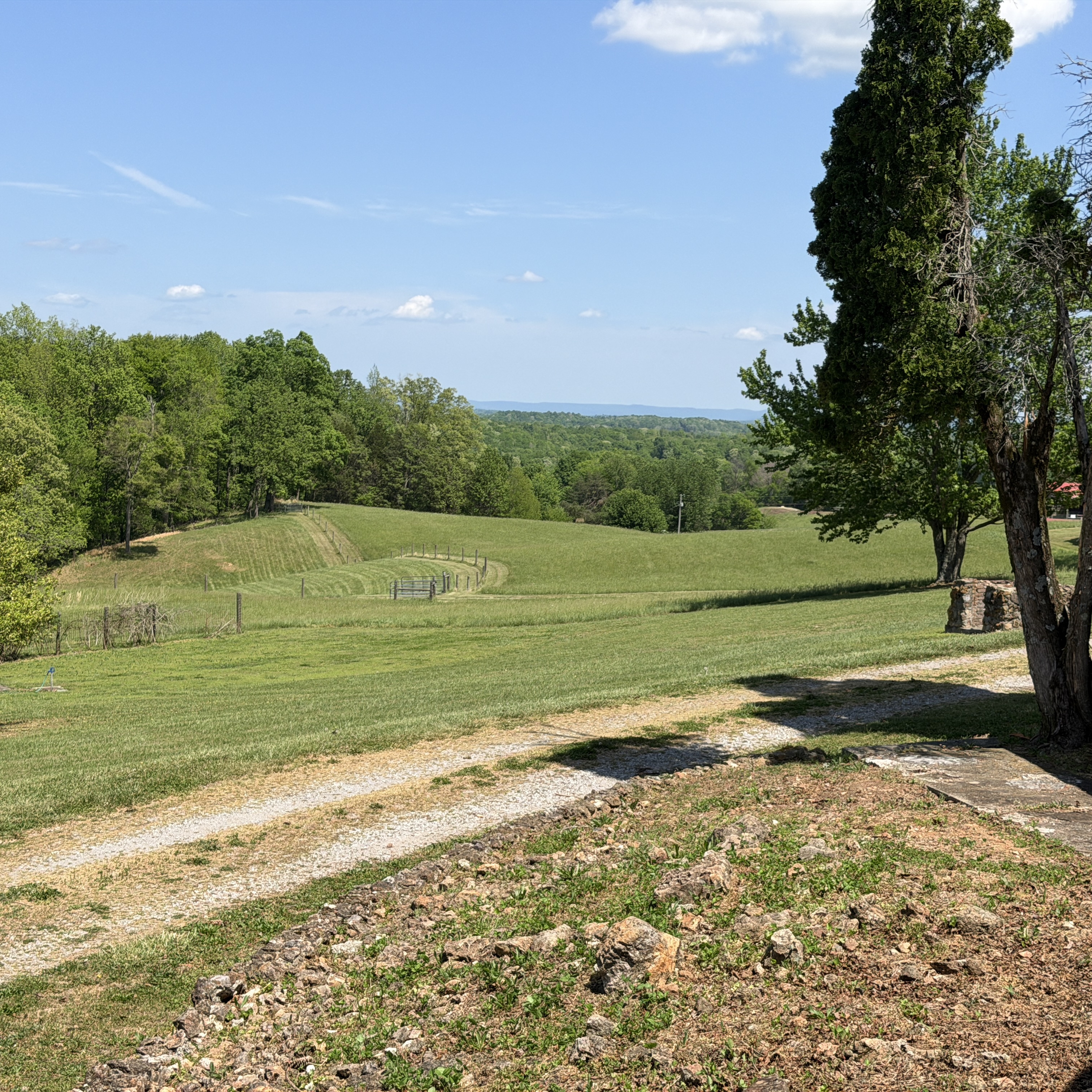 Farm access road through summer pasture