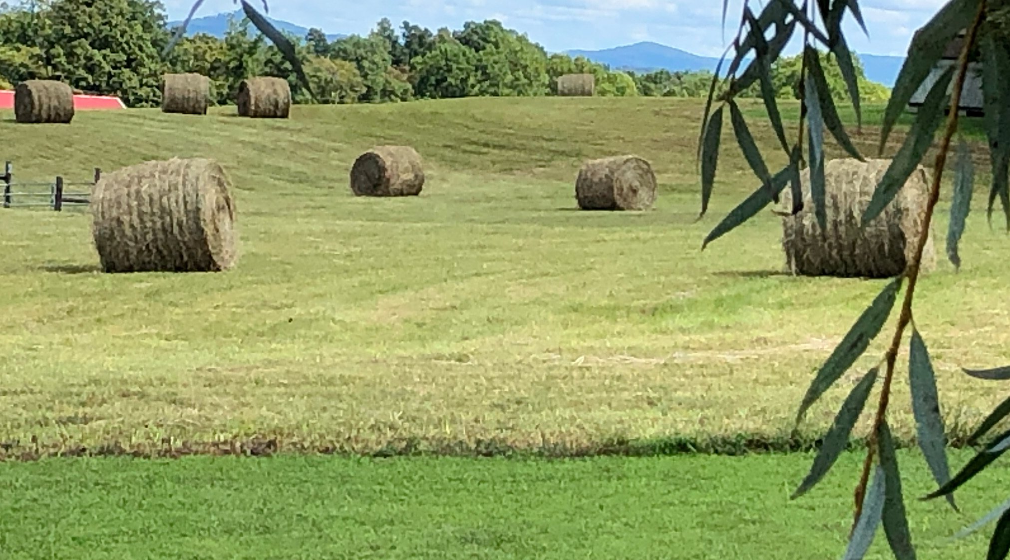 Round hay bales across productive field with mountains beyond