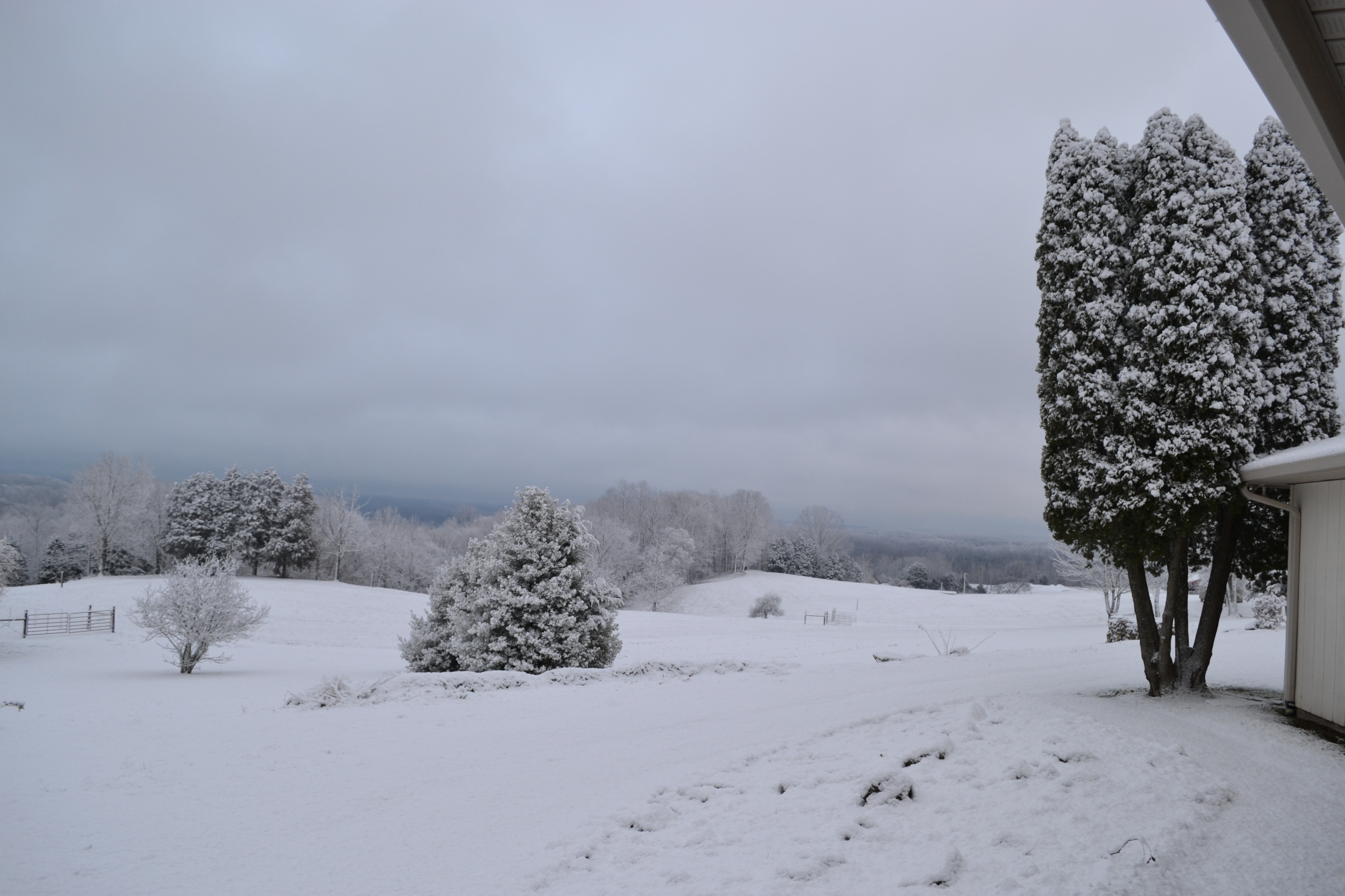 Panoramic hilltop view of Dale Hollow Farm, Allons Tennessee