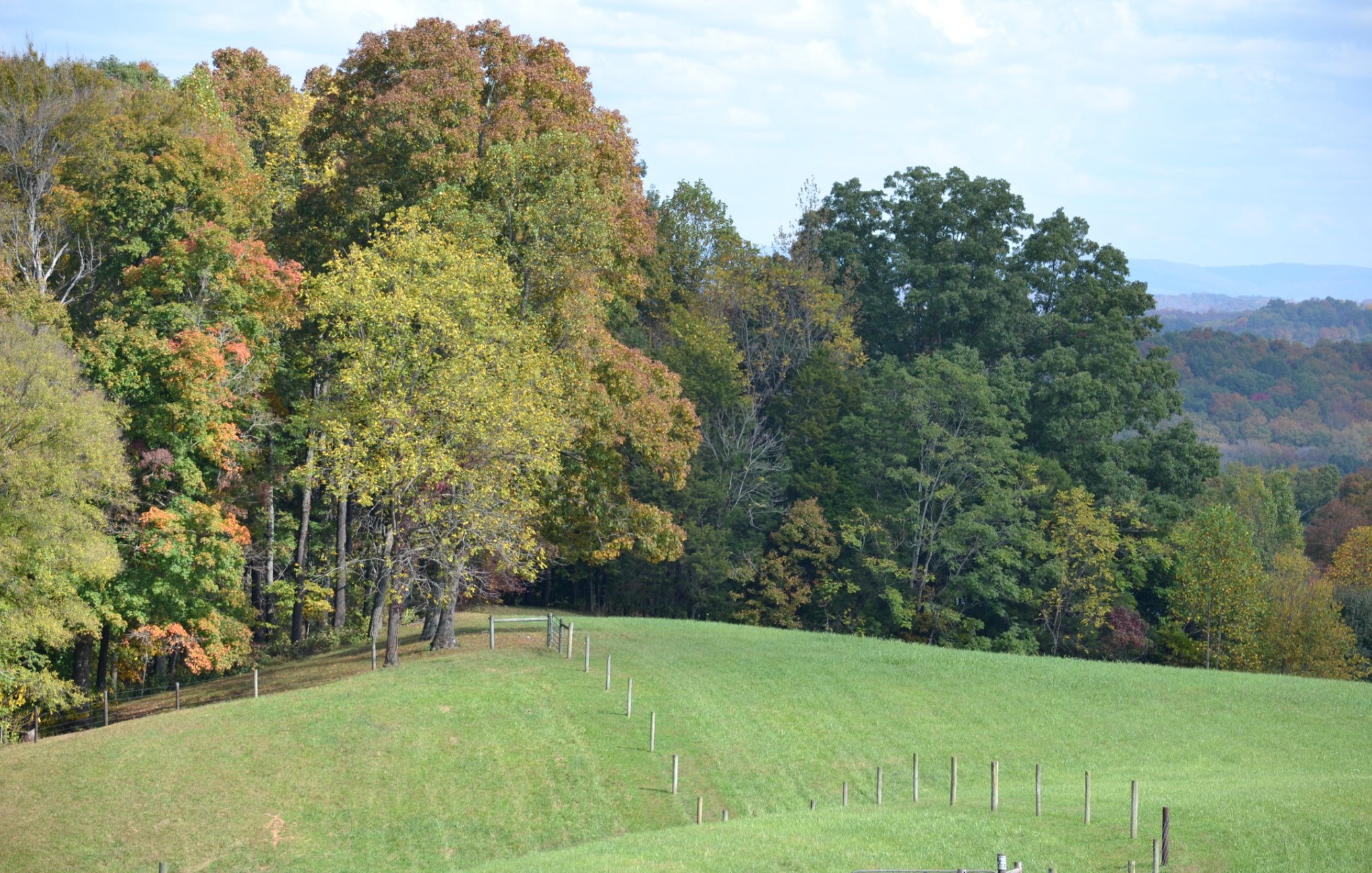 Autumn trees and fence line with long ridge views
