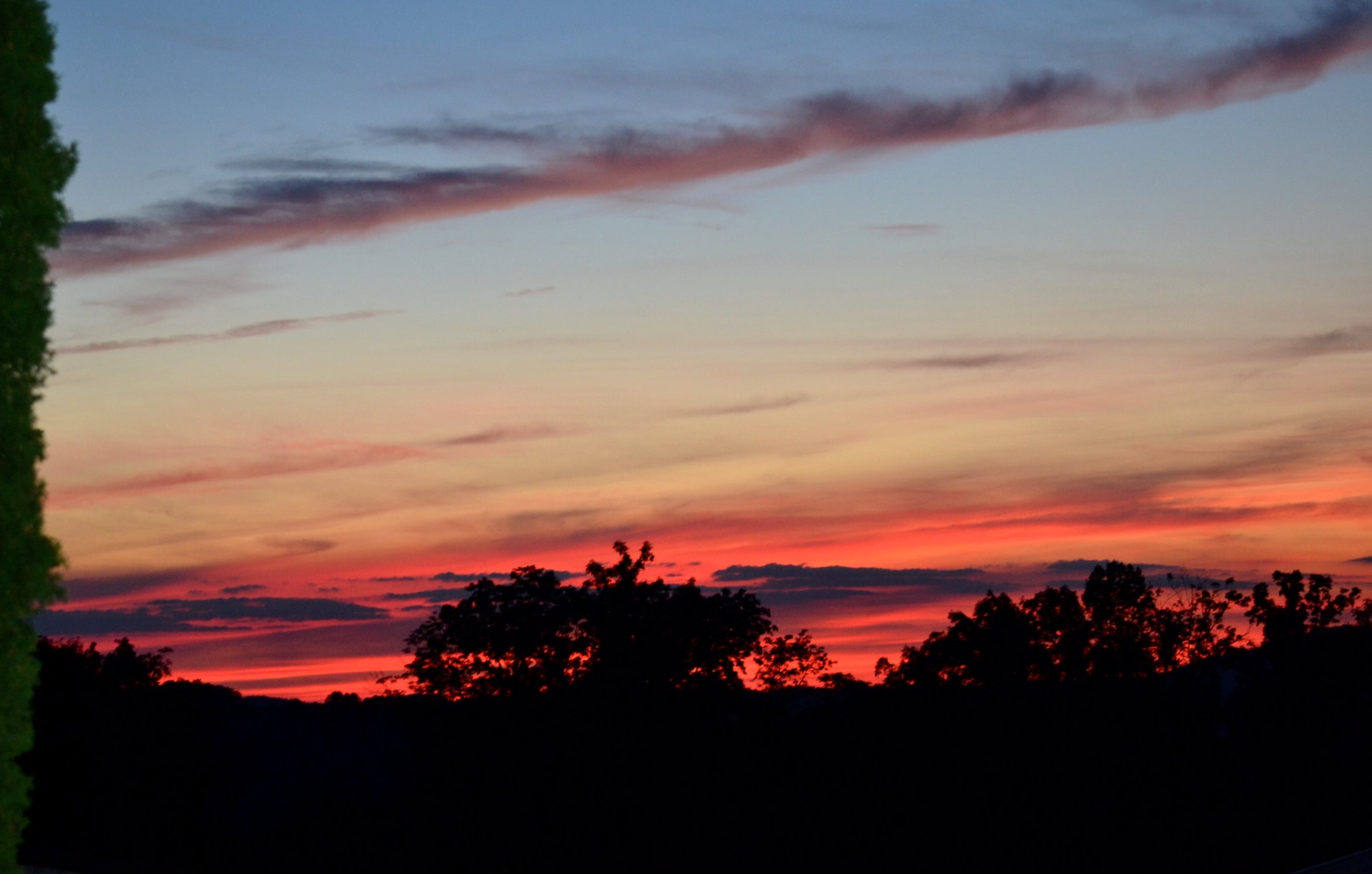 Deep red and blue evening sky over silhouetted tree line