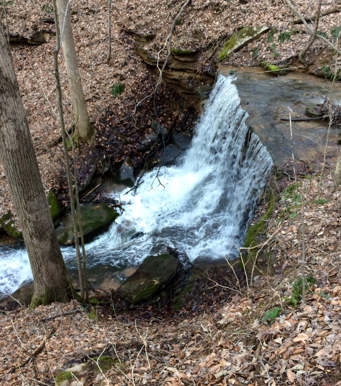 Creek waterfall plunging over rock ledge on the property