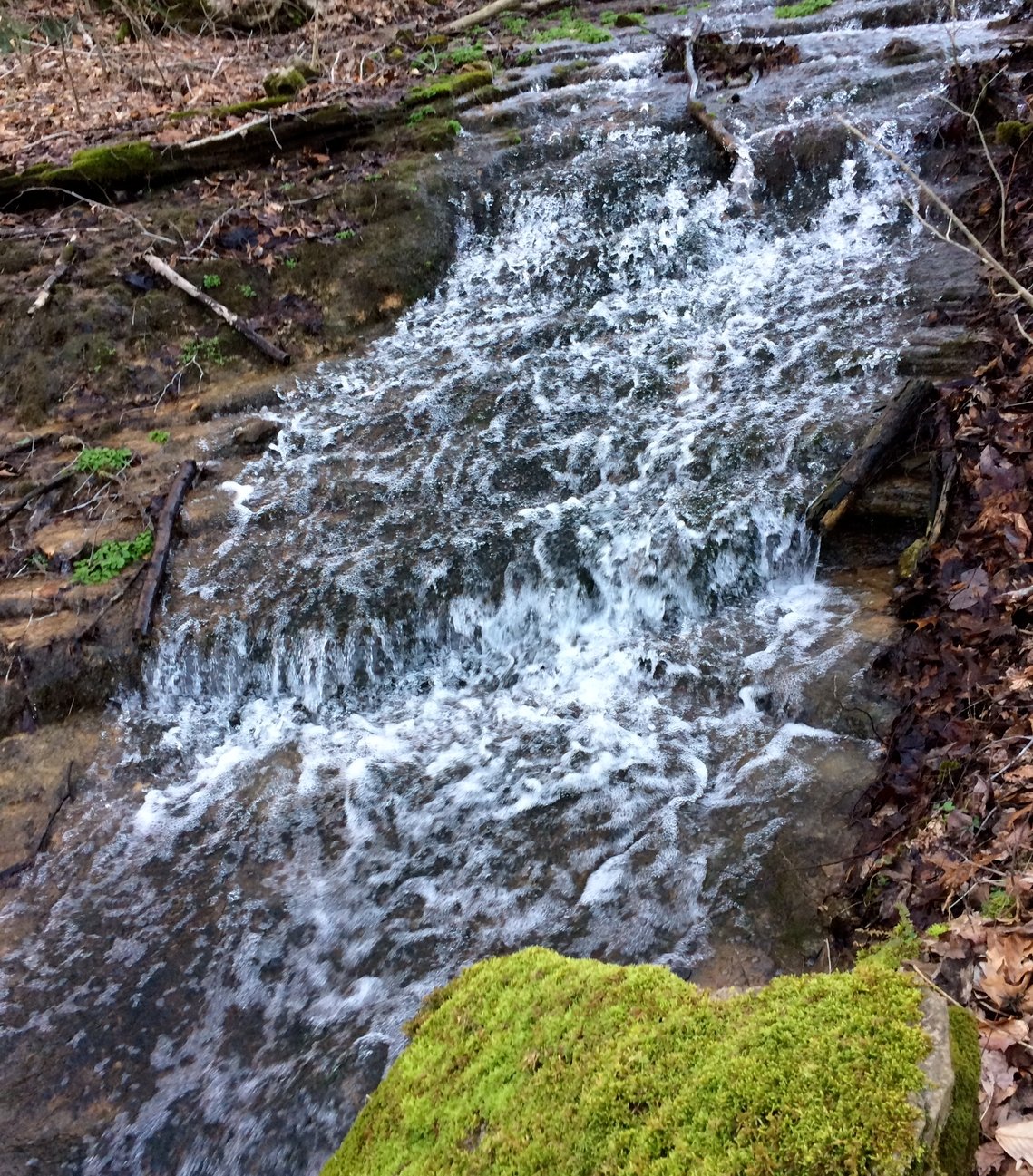 Water cascading over moss-covered limestone ledge