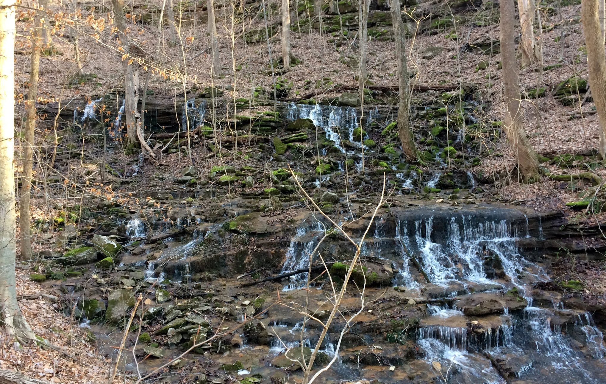 Wide multi-tier waterfall over layered rock with mossy banks