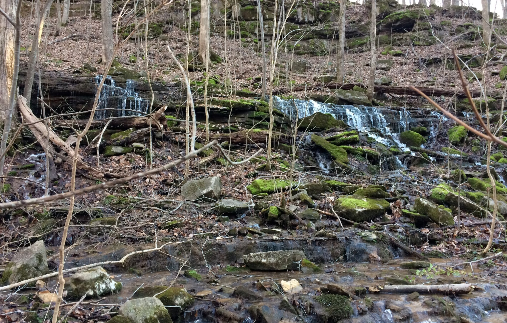 Layered limestone waterfall with moss-covered rocks and creek
